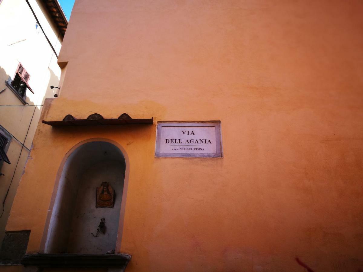 La Casina Dell'Agania Apartment Arezzo Bagian luar foto